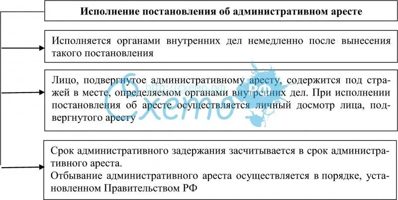 Исполнение постановления об административном аресте. Порядок исполнения административного ареста. Особенности исполнения административного ареста. Порядок исполнения адм ареста.