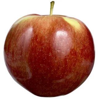 Apples are tasty fruit
