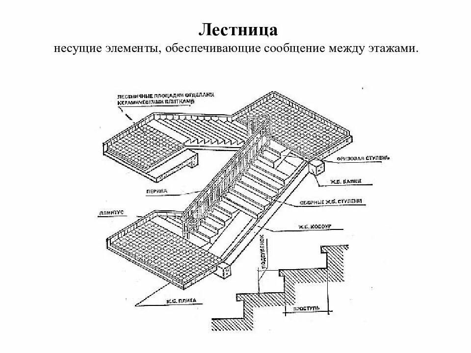 Элементы лестницы названия схема и описание Название элементов лестницы