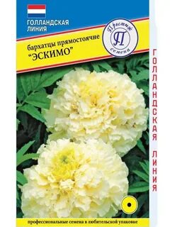 Бархатцы эскимо описание