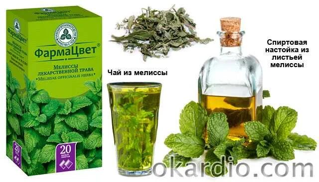 Какую траву пить от давления. Травы от гипертонии. травы для понижения давления. травяной сбор от высокого давления. травяной чай от давления.