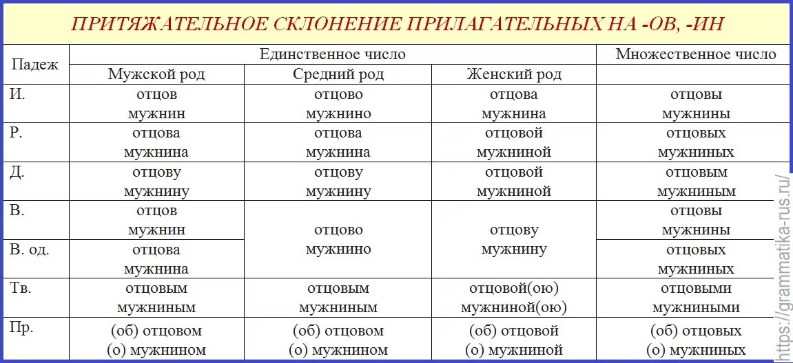 Падежи в единственном числе. Склонение притяжательных имен прилагательных. Склонение по падежам притяжательных прилагательных. Склонение притяжательных прилагательных таблица. Склонение по падежам прилагательных таблица.