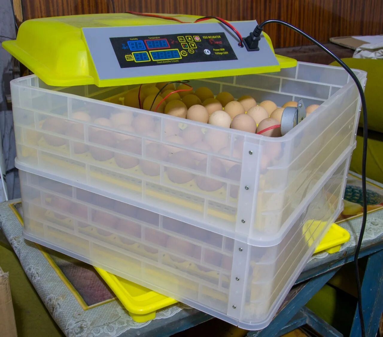 Инкубатор для яиц Несушка wq01. Инкубатор "птичка 100ц". Инкубатор 1000 narxi. Инкубатор "WQ-24". Какой купить инкубатор автоматический