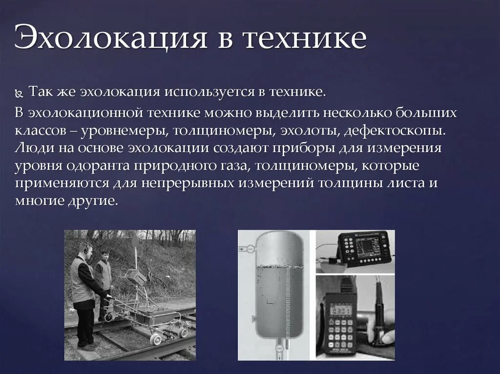 Эхолокация позволяет выбери верный вариант. Эхолокация в технике. ультразвуковая эхолокация в технике. приборы на основе эхолокации. эхолокация презентация.