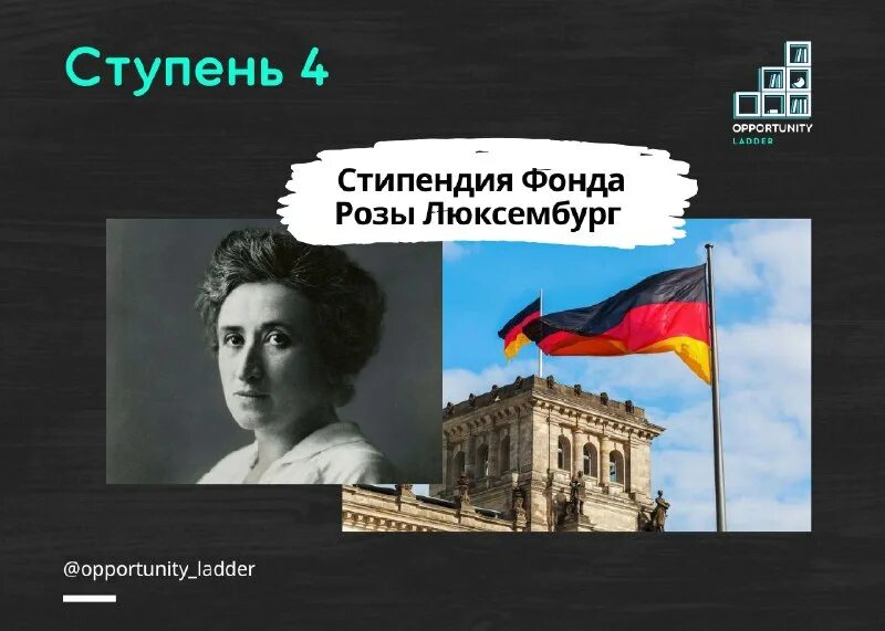 фонд розы люксембург в москве. лого фонд ханса зайделя. фонд розы люксембург.