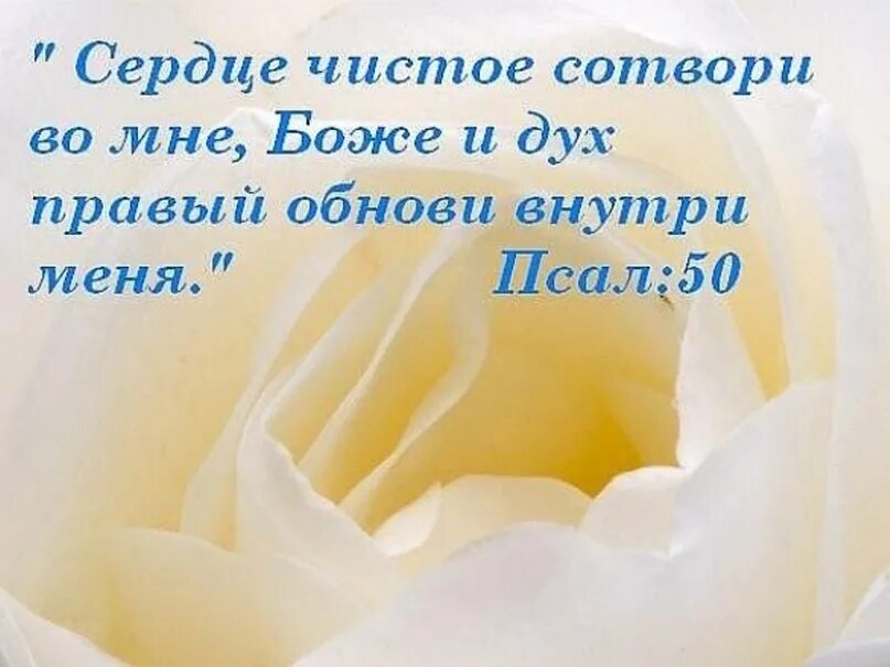 Сказал от чистого сердца