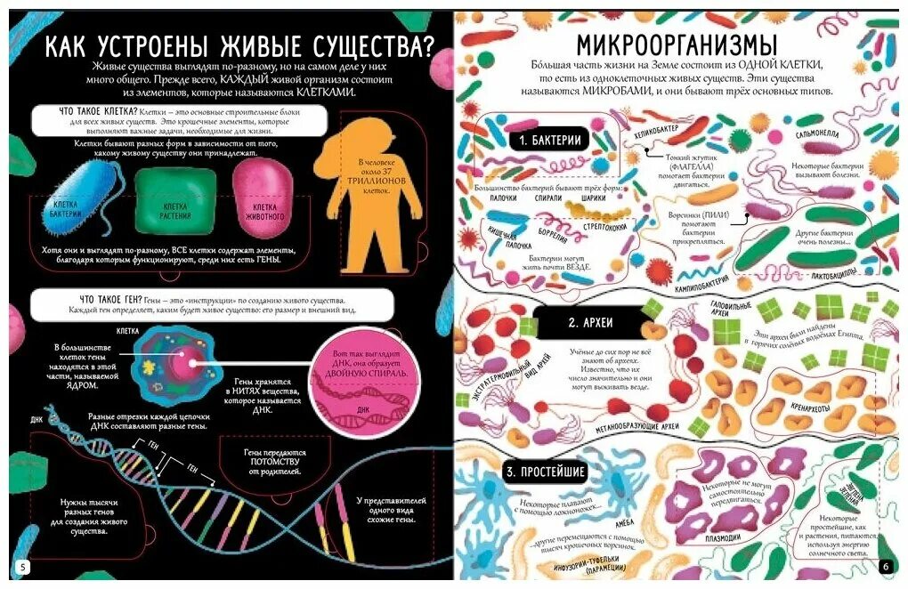 Робинс. Открой тайны. Биология. Книга с секретами биология. Книга с секретами. Открой тайны. Биология. Книга для изучения биологии. Раскрывающий тайны жизни