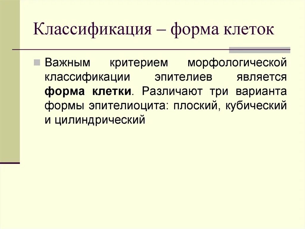 Поддерживает постоянную форму клетки
