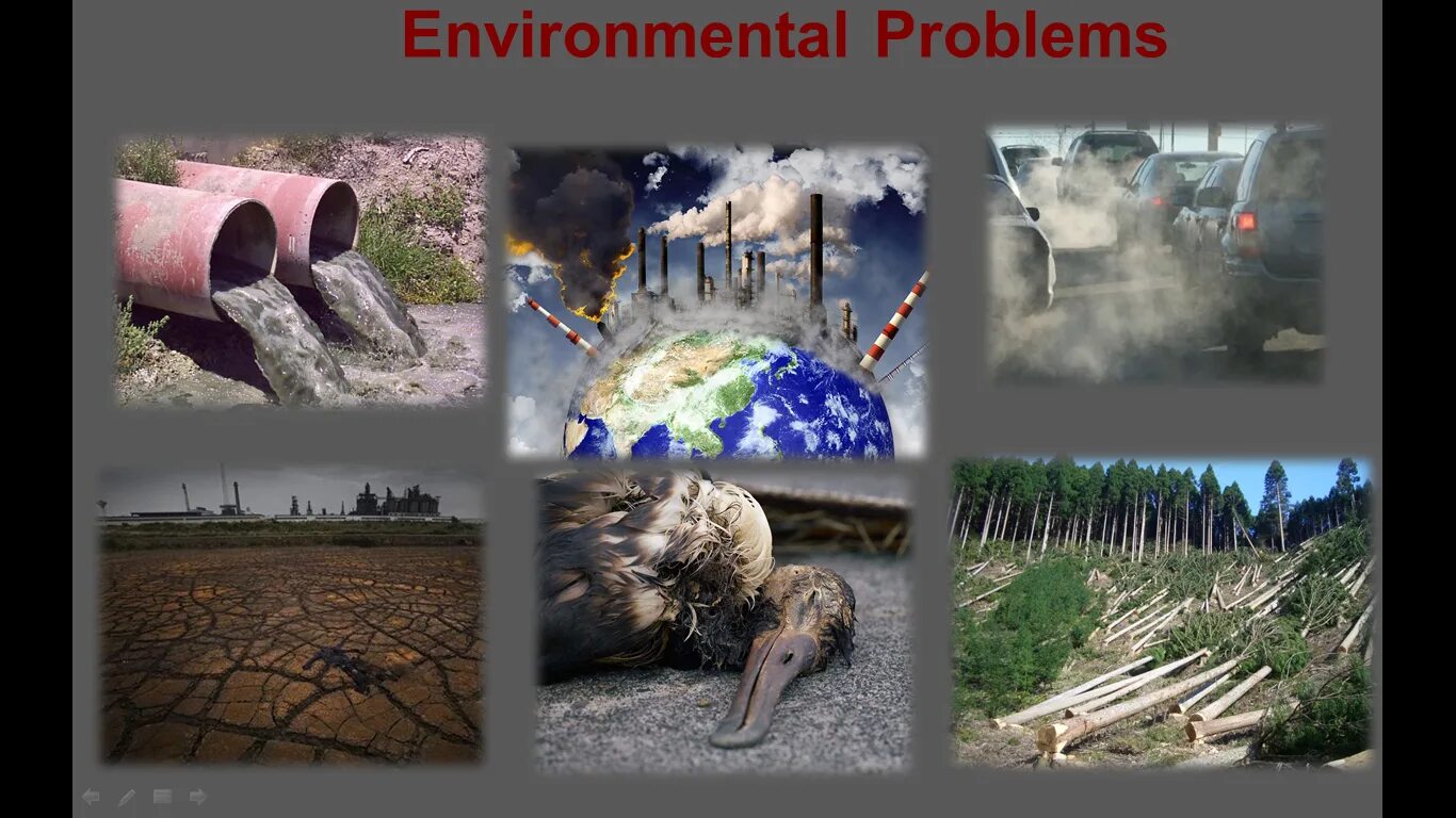 Environmental problems. Проблемы окружающей среды на английском. Глобальные экологические проблемы. Открытый урок на тему Environmental problems.