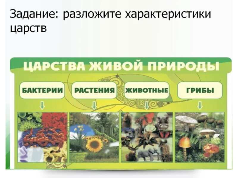 Характеристика царств природы. Характеристика царства растений. Особенности Царств живой природы. Ученые делят царство растений на. Характеристика Царств живой природы.