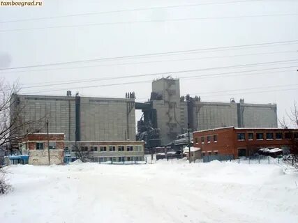 Элеватор тамбовская область