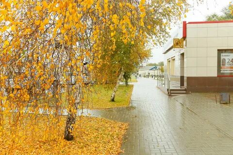 Погода солнечное 2