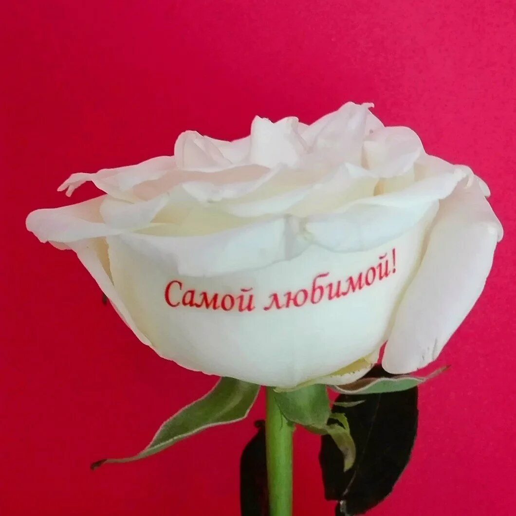 Цвет цветов для любимой женщины. Розы для любимой. Надпись цветы. Букет роз "любимой". Красивые цветы для любимой женщины.