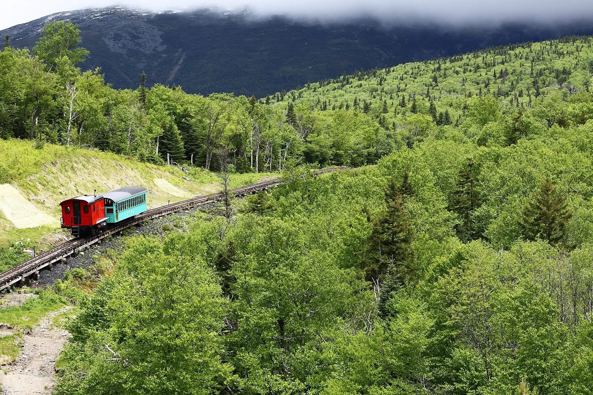 Поезда со звуком. Алишаньская Лесная железная дорога. Поезд в лесу. Зубчатая железная дорога. Лесная Горная железная дорога.