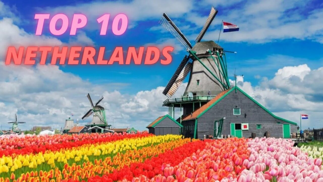 Country store лого. Мидделбург голландия. Голландская деревня маркен. Dutch country. Заансе сханс.