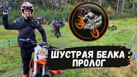 Шустрая белка