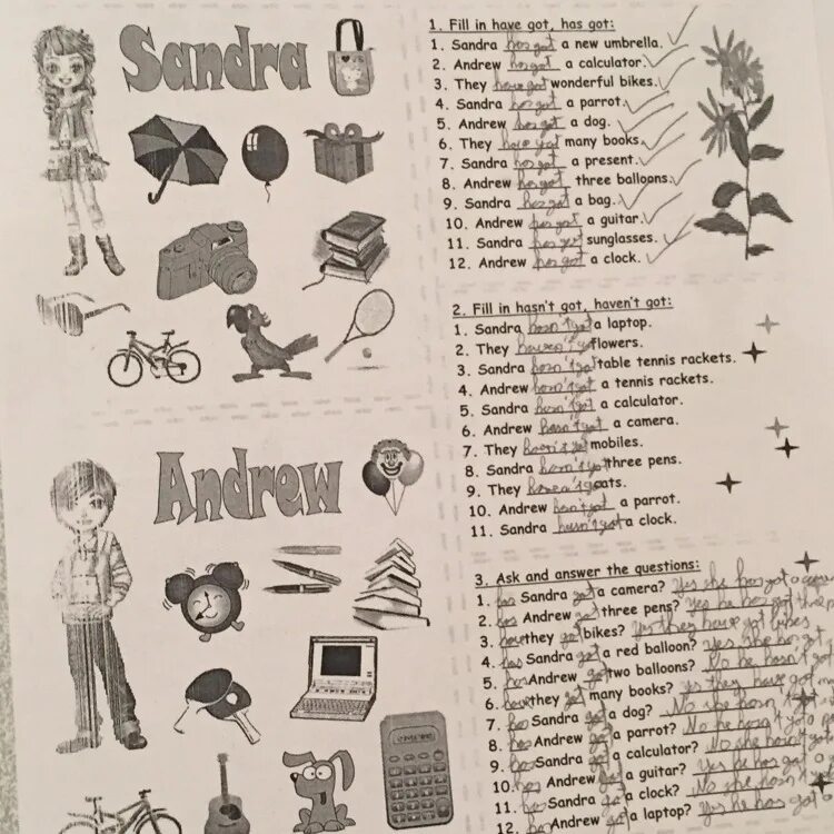 You got this book. Have got has got Sandra Andrew ответы. Have got has got карточки про Сандру. Задания have got 5 класс. Have got таблица.