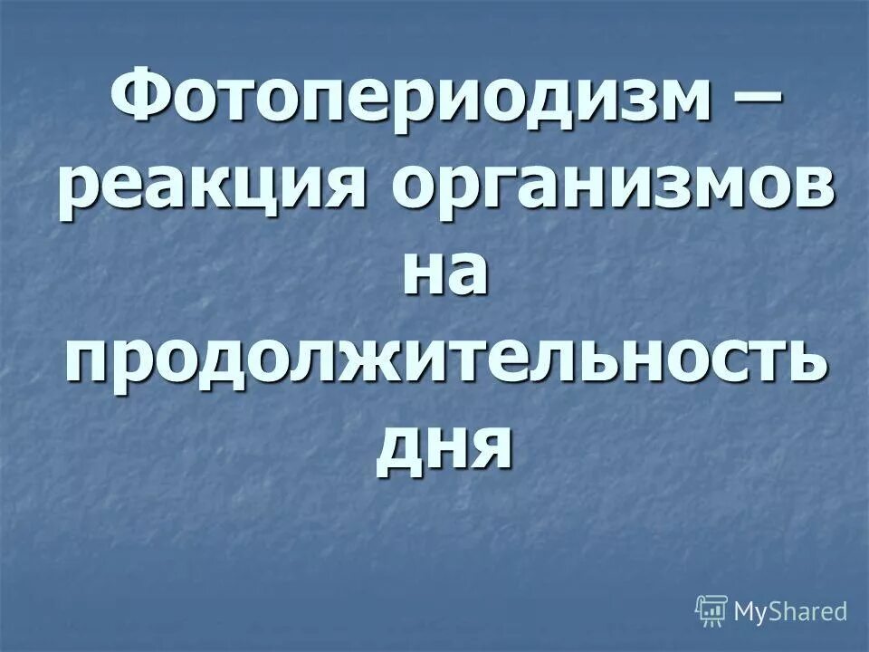 Реакция организмов на продолжительность дня