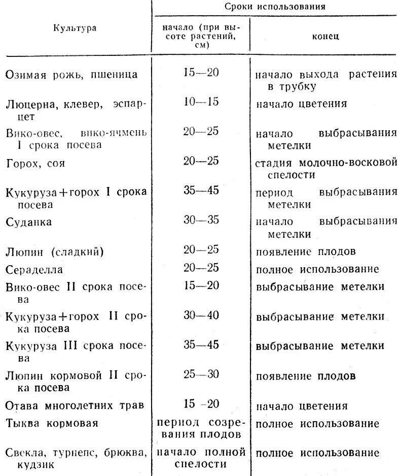 Срок годности овощных семян таблица. Продолжительность жизни гороха. Гороха. Семейство бобовые горох посевной. Продолжительность жизни гороха.