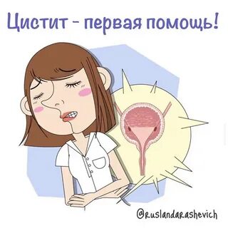 Канал мочеиспускания у женщин
