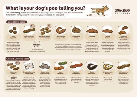 Paradox Joint selection Put together very soft stool in dogs Respond Of 