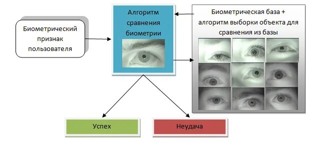 Признак пользователя