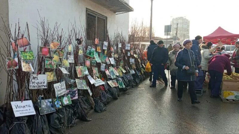 крымчанин z