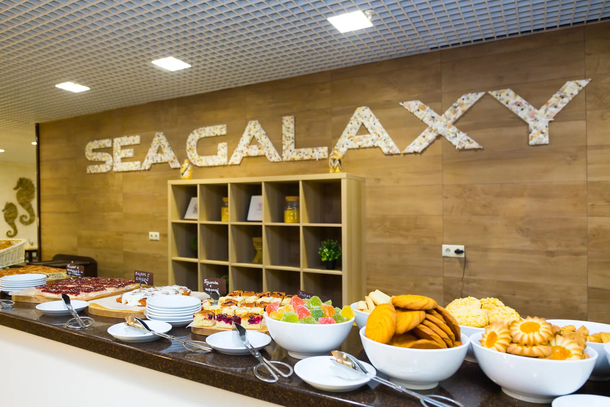 Сочи отель сеа. Sea Galaxy Hotel Congress Spa Сочи. Sea Galaxy Hotel Congress & Spa 4*. Sea Galaxy отель 4 Сочи. Sea Galaxy Hotel Congress & Spa 4* Сочи центр,.