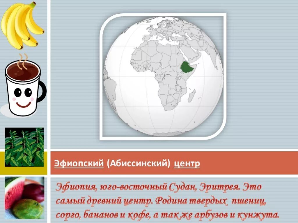 Культурные растения абиссинского центра. Абиссинский центр происхождения растений. Абиссинский центр растения. Эфиопский абиссинский центр происхождения культурных растений. Абиссинский центр растения.
