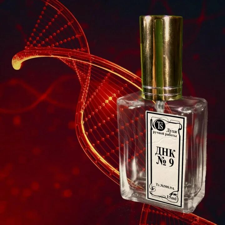 Dnk духи. Селекционные духи. Духи dna. Dnk парфюм отзывы. Днк парфюм.