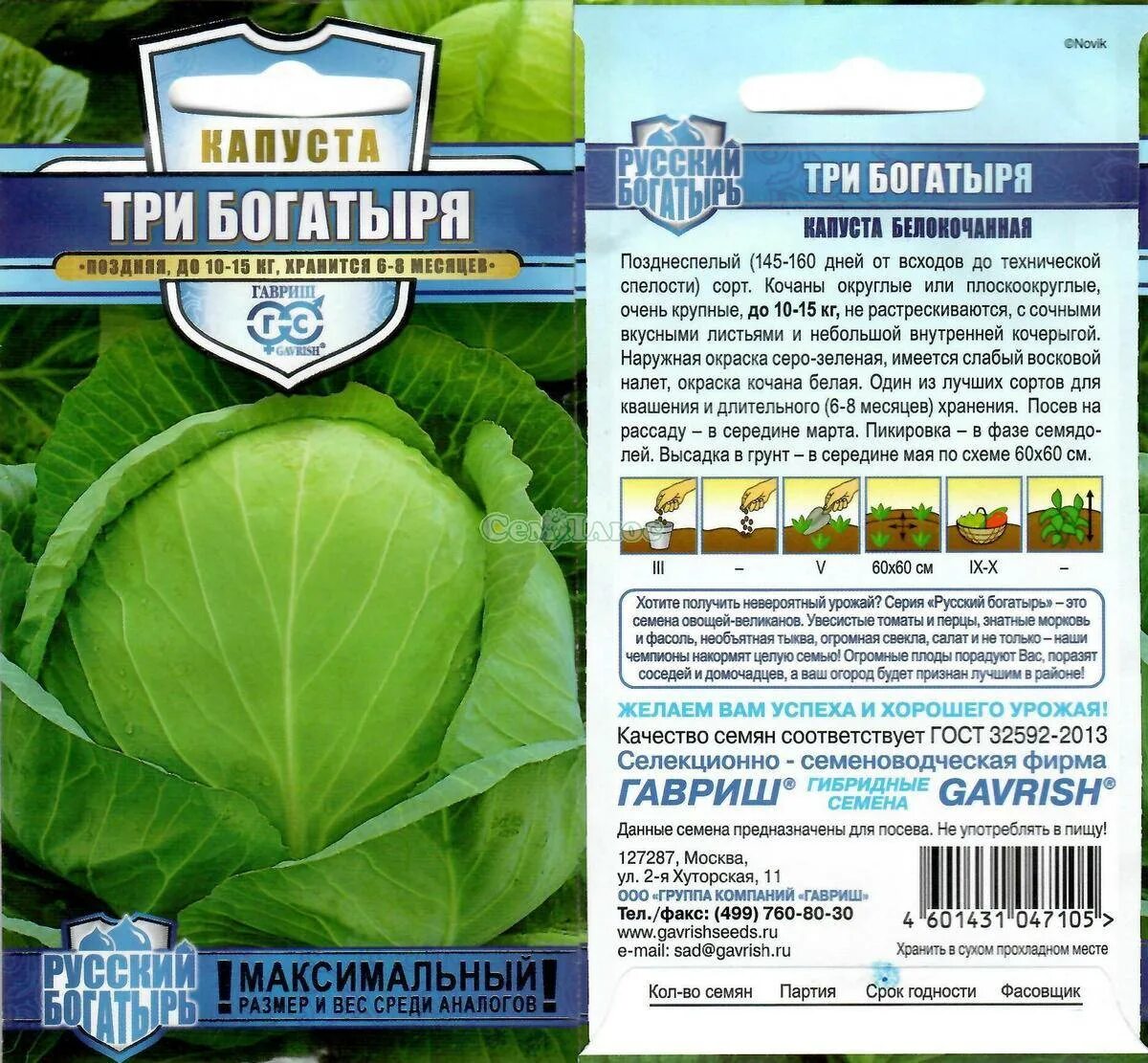 Капуста три богатыря описание сорта. Капуста белокочанная 3 богатыря. капуста три богатыря описание. семена капусты три богатыря. капуста три богатыря отзывы.