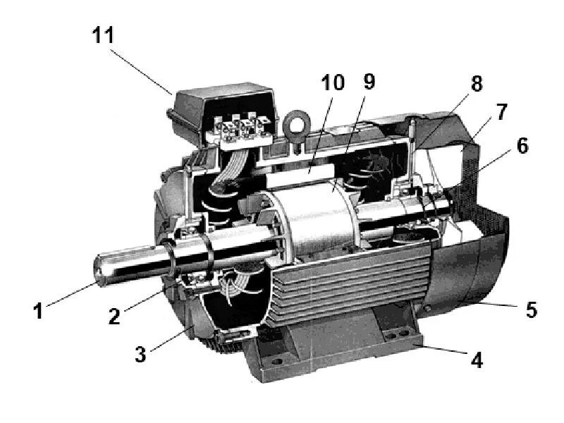 Аир устройство. Асинхронный электродвигатель с короткозамкнутым ротором в разрезе. Трехфазный асинхронный двигатель с короткозамкнутым ротором. Ротор асинхронного двигателя в разрезе. Асинхронный короткозамкнутый электродвигатель.