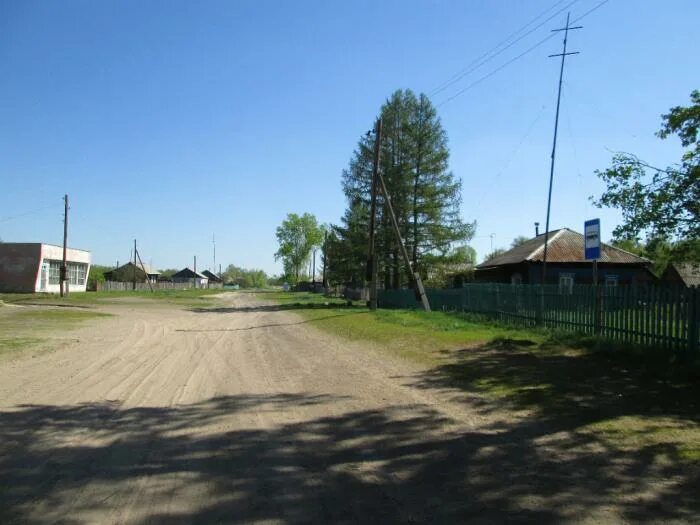 Село рожнев лог алтайский край. Погода зимино ребрихинский. Ворониха ребрихинский. Погода зимино ребрихинский. Зимино алтайский край.