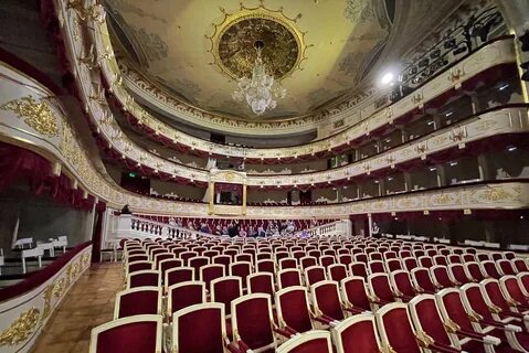 Маленькие тетры