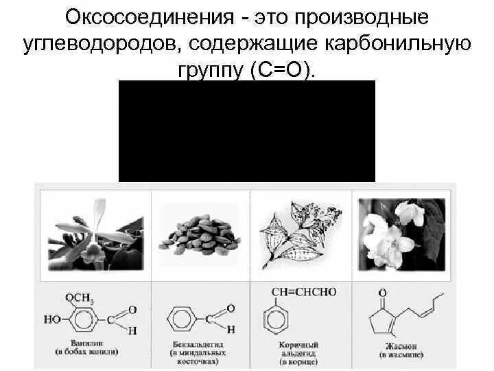 Органические вещества содержащие карбонильную