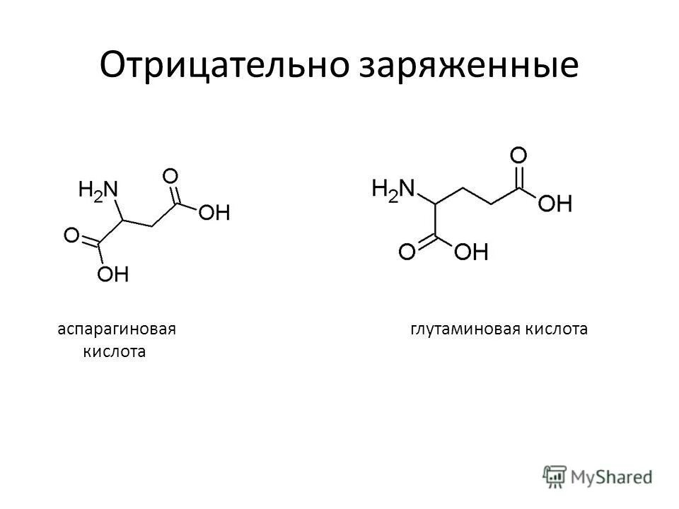 Голодная кислота. Аспарагиновая кислота формула. Аспарагин кислота формула. Глутаминовая кислота аминокислота. Глутамин и глутаминовая кислота формула.
