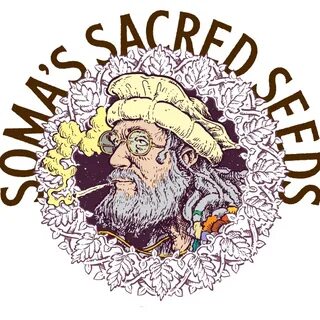 The seed of the sacred fig
