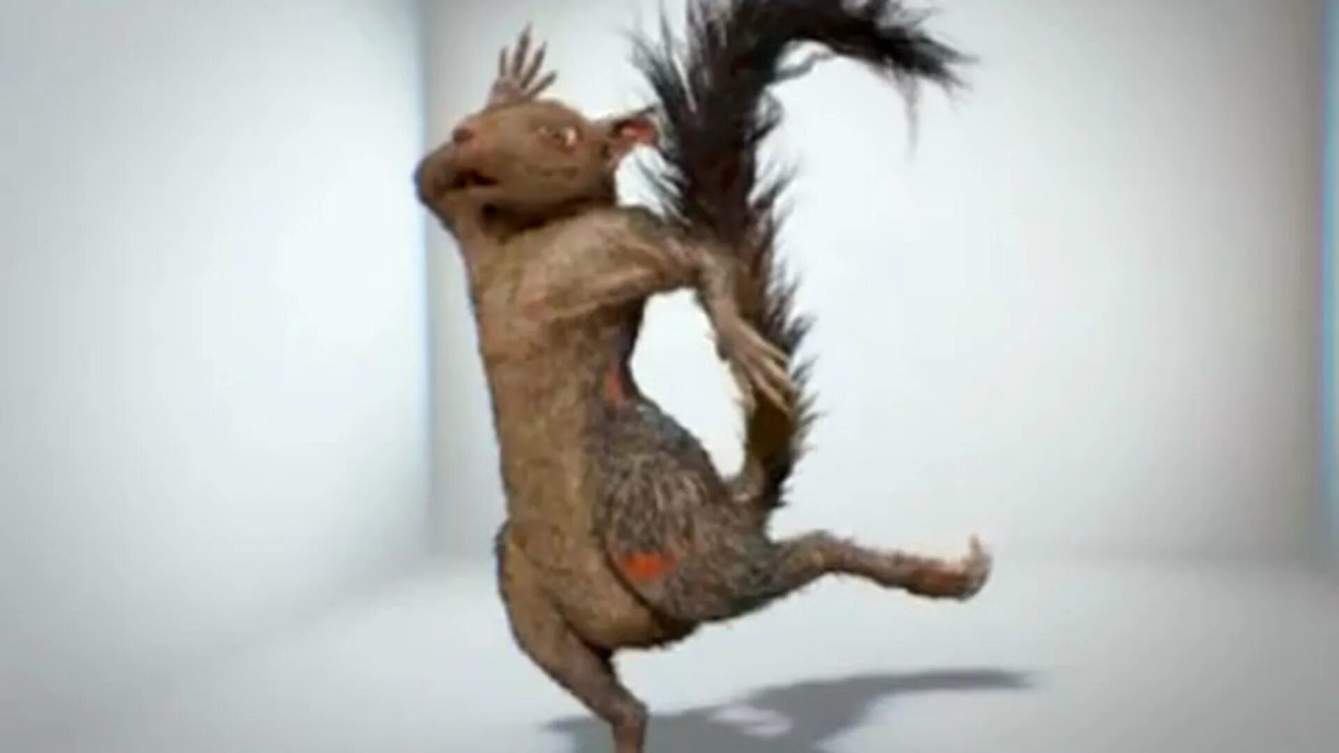 адская белочка стихи. адская белочка бухаете. белочка бухаете тогда я иду к вам. горные белки. адская белочка.