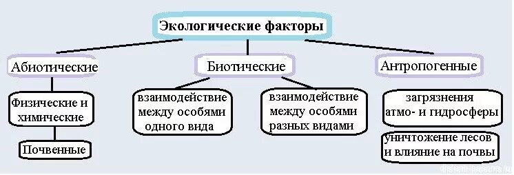 Схема экологические факторы среды. Группы экологических факторов схема. Схема виды экологических факторов. Экологические факторы схе а. Типы факторов окружающей среды