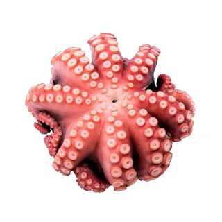 Осьминог замороженный