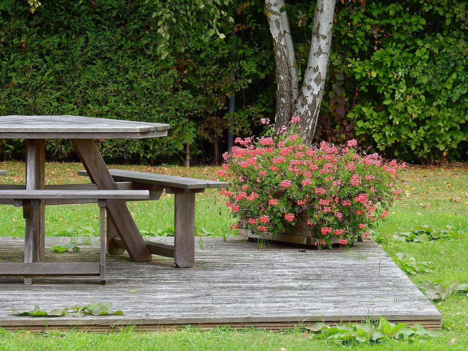 Садовая связь. Скамейка в саду. Скамейки в ландшафте. Деревянные скамейки для сада. Скамейка и столик в саду.