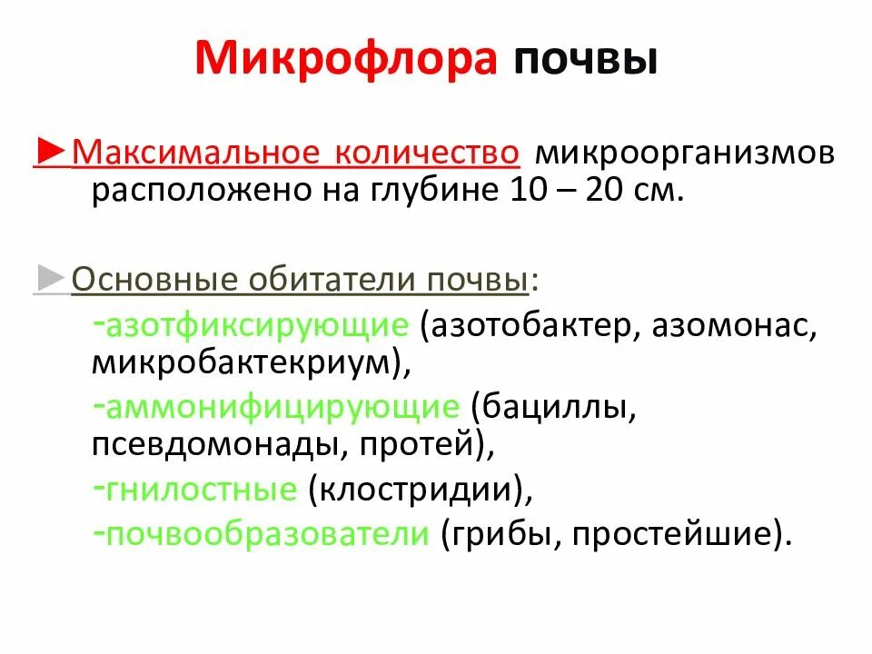 Микробиота почвы. Каков состав микрофлоры почвы. состав микрофлоры почвы кратко. микрофлора почвы микробиология. микрофлора почвы микробиология таблица.