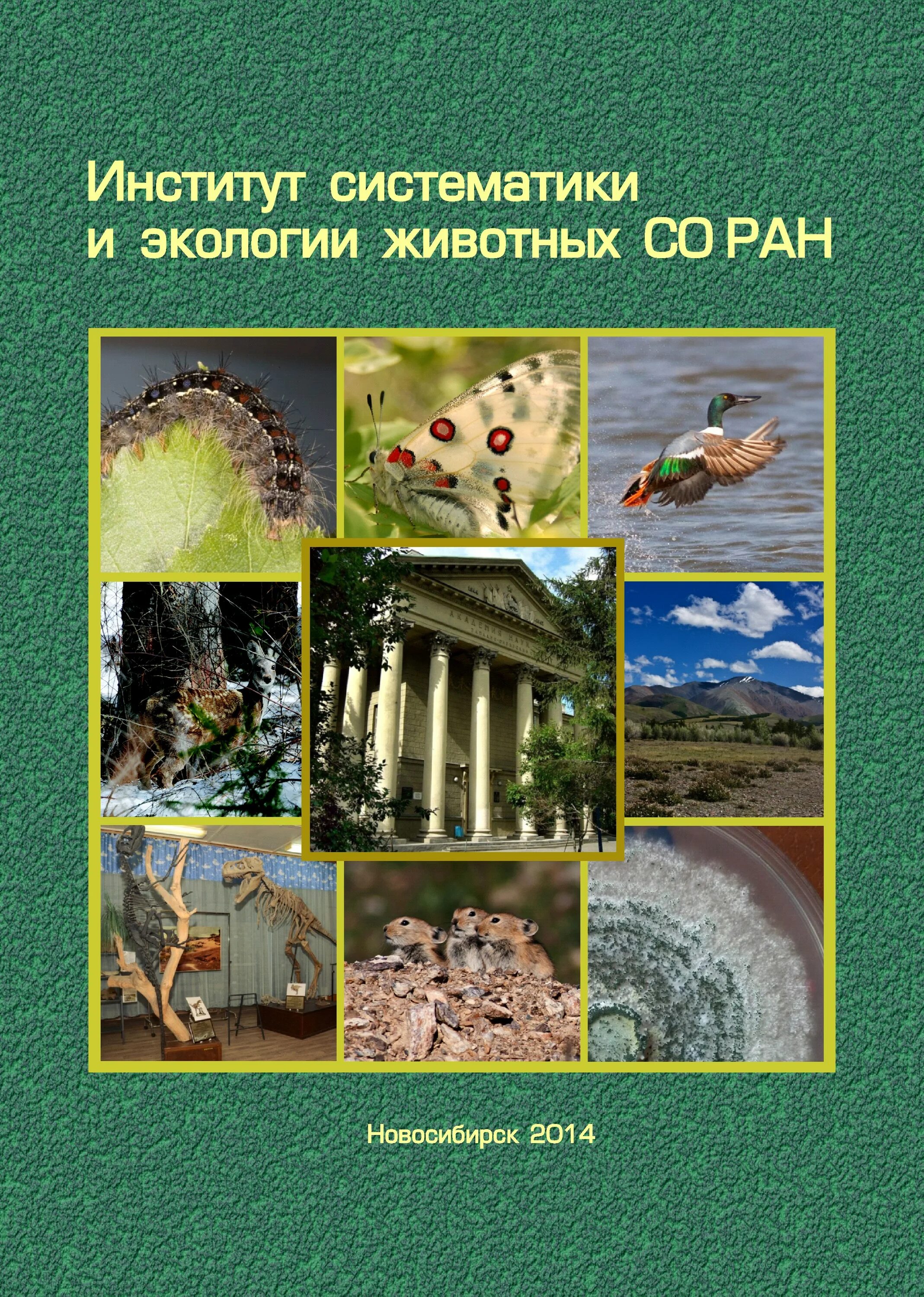 Институт систематики и экологии животных со ран. Институт систематики животных. Исиэж со ран новосибирск. Институт систематики животных. Фрунзе 11 новосибирск.