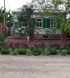 Погода в краснодарском крае село шабельское
