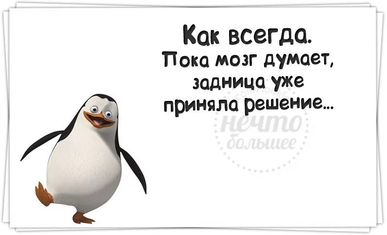 Не могу принять ни одного решения. Принять решение цитаты. если не можешь принять решение. прикольные решения. когда не можешь принять решение картинки.