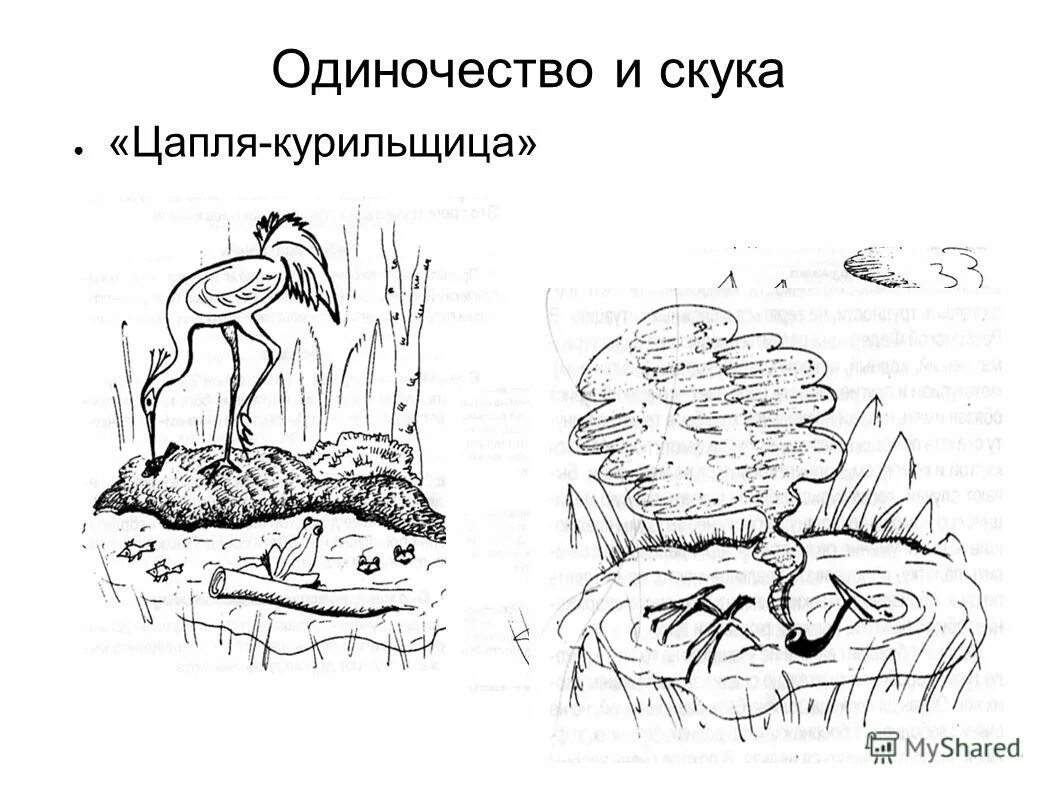 цапля чахла скороговорка. цапля бенну. серая цапля смоленское поозерье. херонвотер. скороговорка про цаплю.