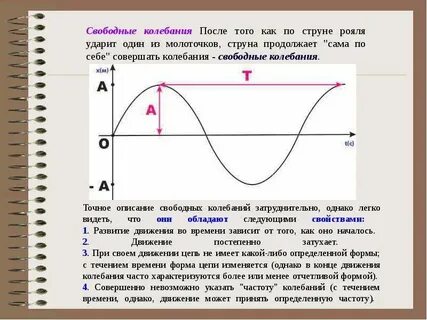 Укажите частоту
