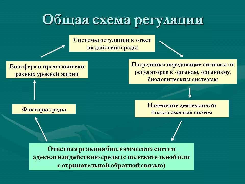 Саморегуляция систем организма. Саморегуляция биосферы. Саморегуляция функций организма. Схема общей регуляции организма. Роль саморегуляции организма.