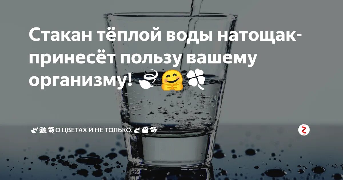 Пить горячую воду натощак по утрам. Стакан воды с утра натощак. Стакан тёплой воды утром натощак. Горячая вода в стакане. Стакан теплой воды на тшак.