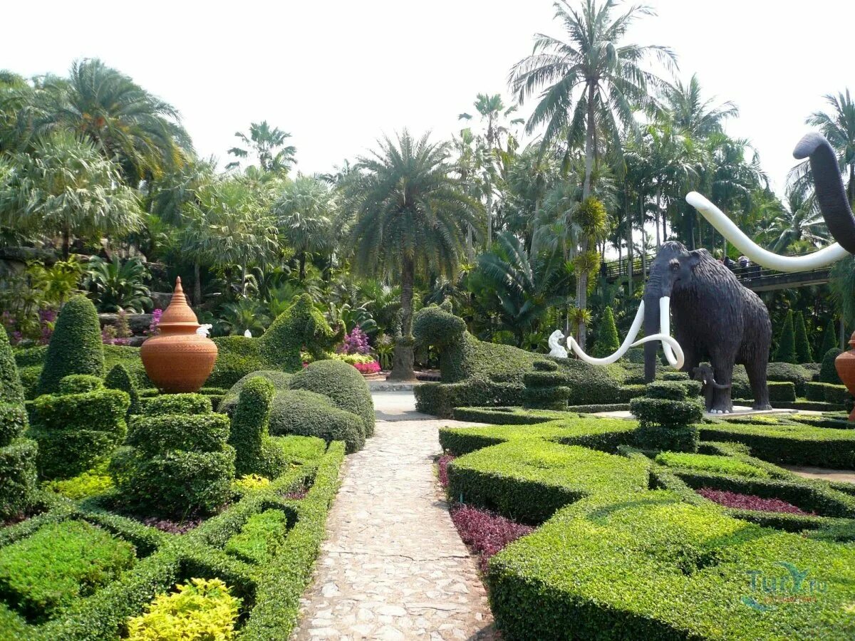 Ботанический сад Нонг Нуч. Парк Нонг Нуч в Паттайе. Суан Нонг Нуч сад. Таиланд. Парк Нонг Нуч орхидеи.